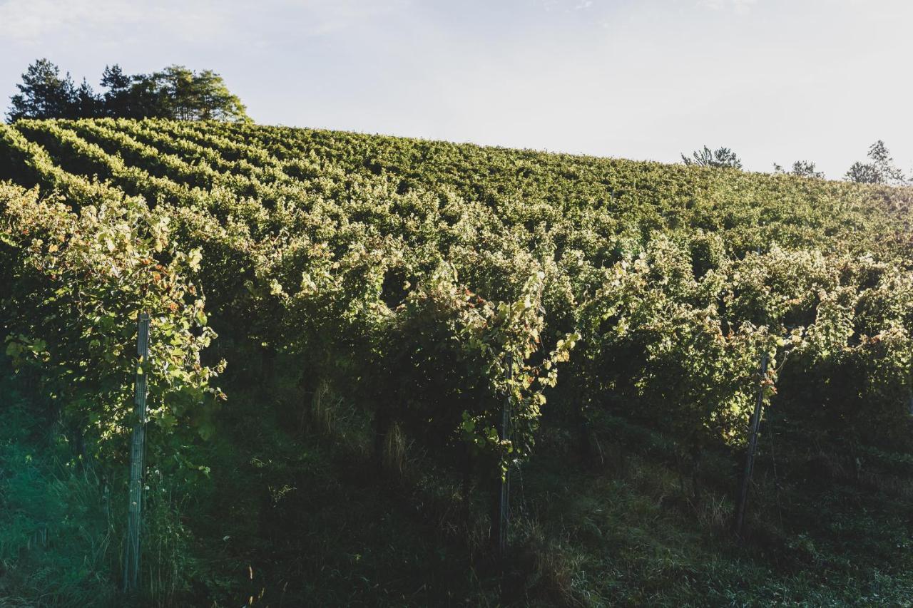 Weingut Peter Grill Bed & Breakfast Leutschach Exterior foto